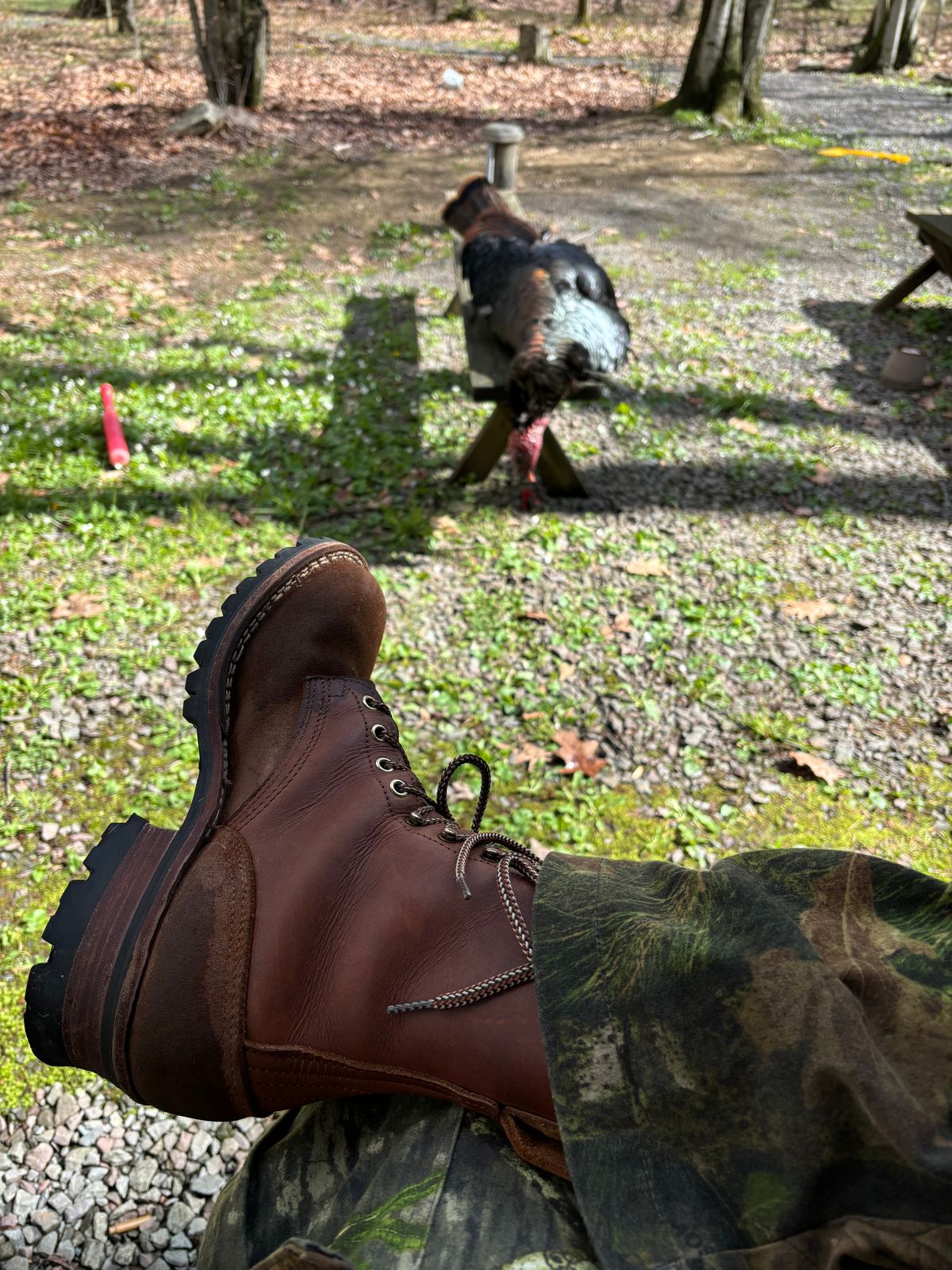 Photo by averagebootguy on May 2, 2026 of the Nicks Urban Logger in Seidel 1964 Brown & Seidel 1964 Brown Roughout.