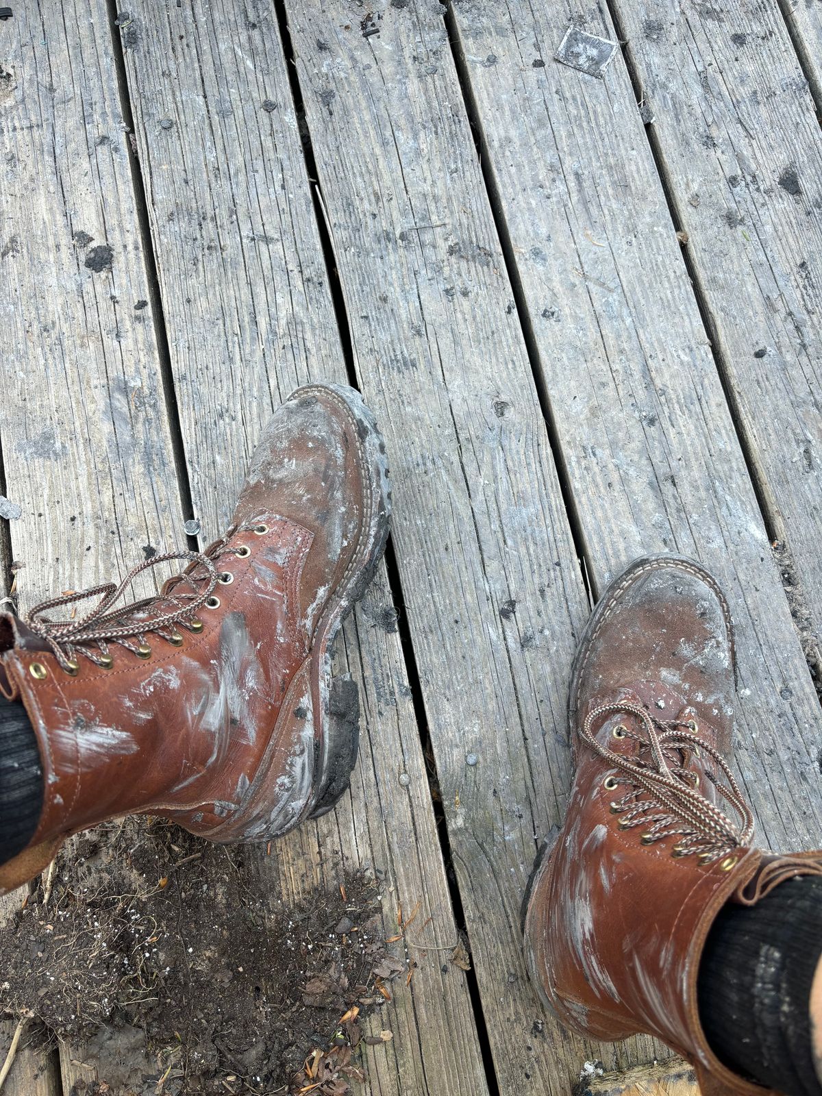 Photo by averagebootguy on May 19, 2026 of the Nicks Urban Logger in Seidel 1964 Brown & Seidel 1964 Brown Roughout.