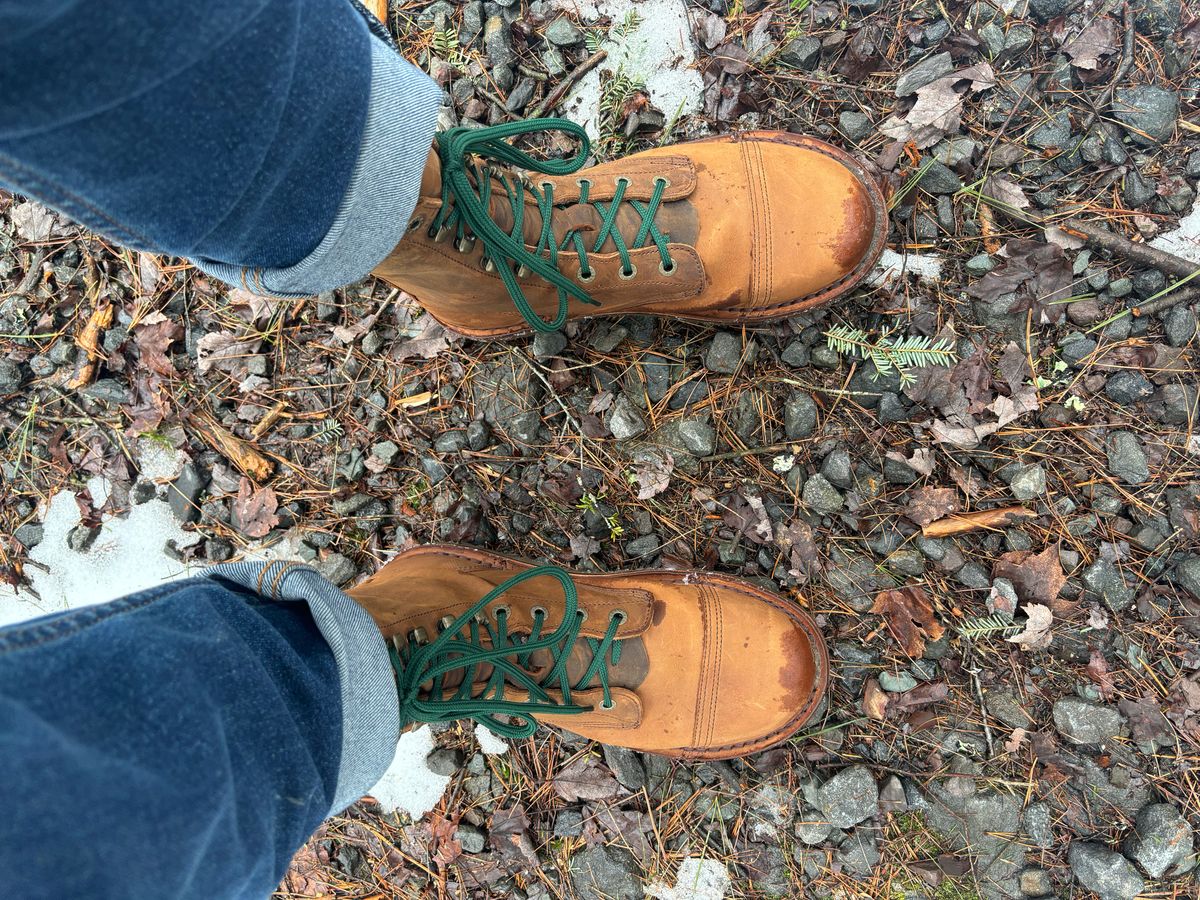 Photo by averagebootguy on February 19, 2026 of the Jim Green Barefoot African Trooper in Fudge Crazy Horse.