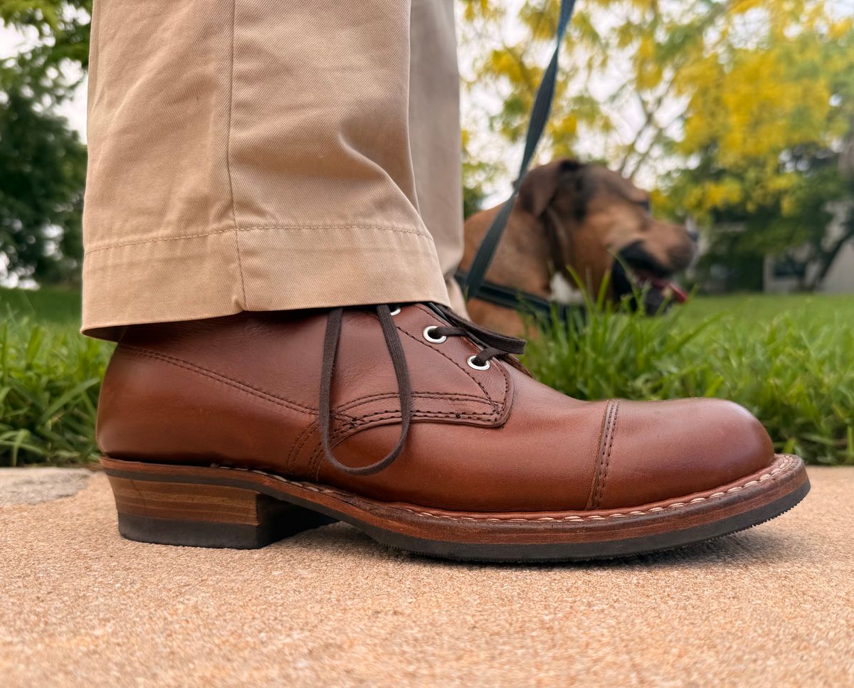 Photo by King_Stoic on June 16, 2026 of the White’s Boots x Franklin & Poe Semi-Dress in Horween British Tan Chromexcel.