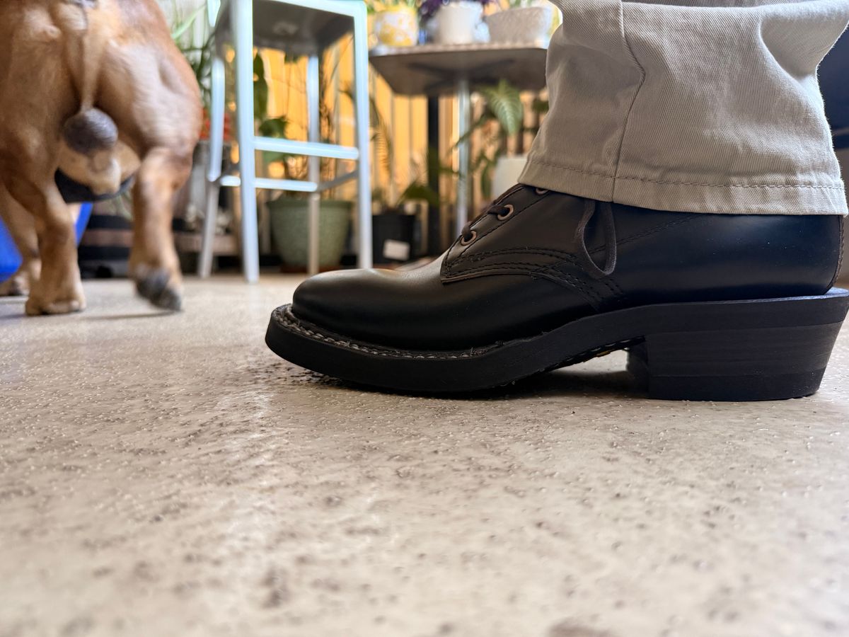 Photo by King_Stoic on February 24, 2026 of the White's Semi-Dress in Horween Black Chromexcel.