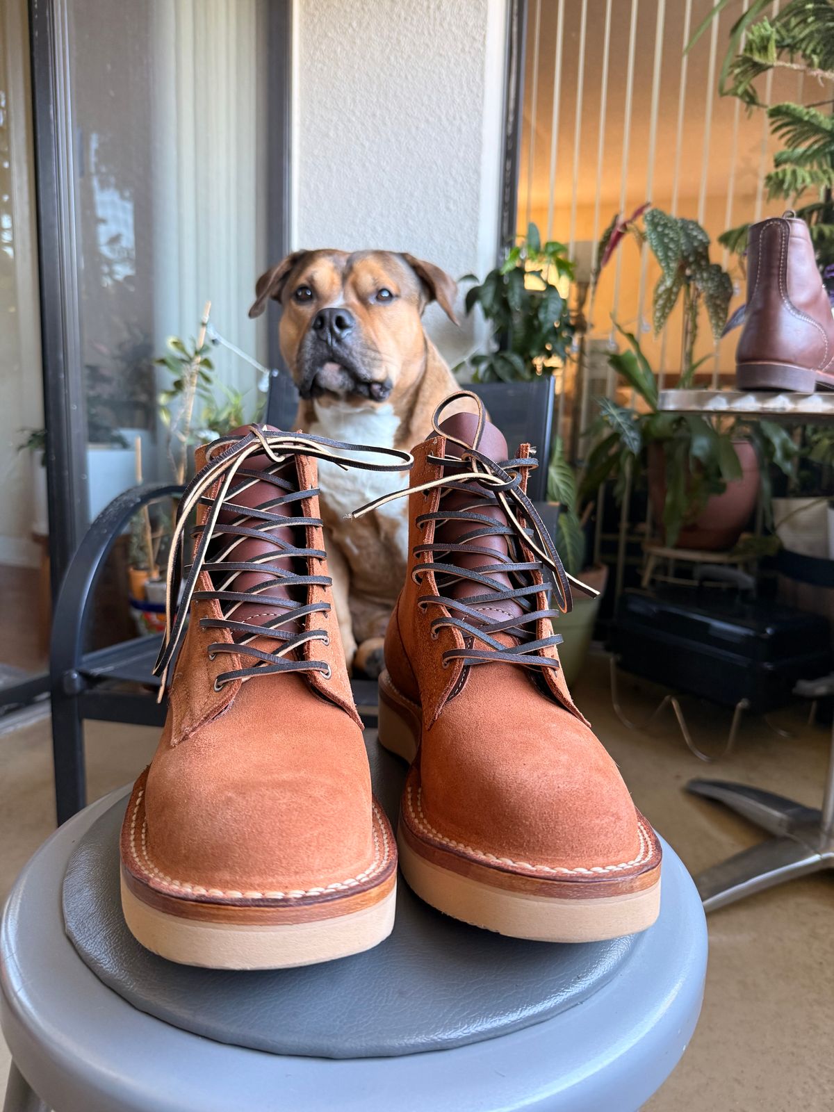 Photo by King_Stoic on December 31, 2025 of the White's C350-CS in Seidel Red Dog Oil Tan Roughout.