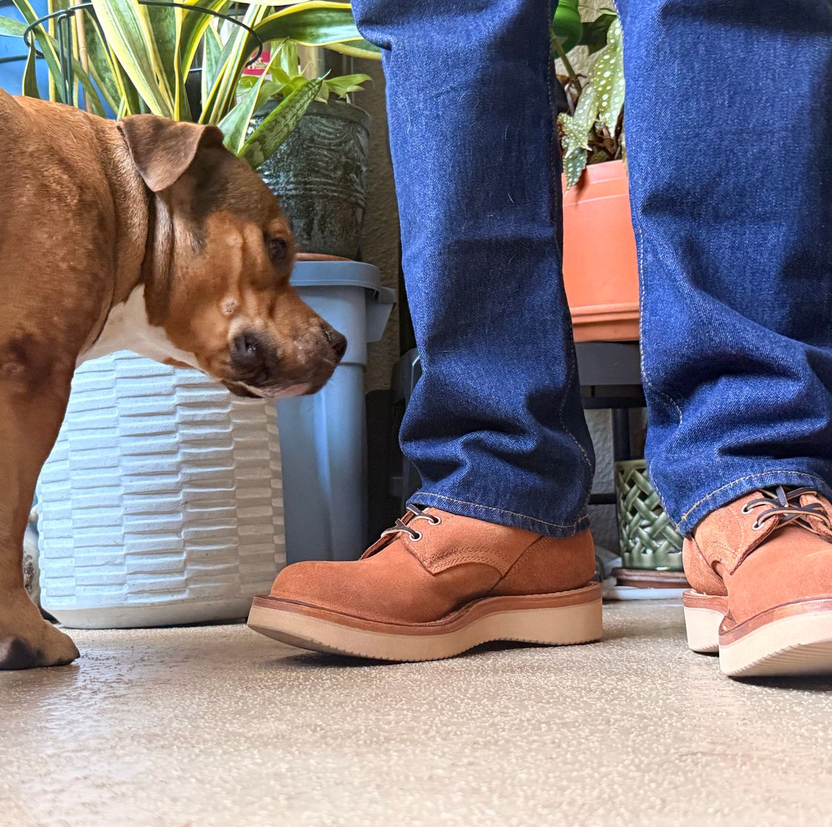 Photo by King_Stoic on January 1, 2026 of the White's C350-CS in Seidel Red Dog Oil Tan Roughout.