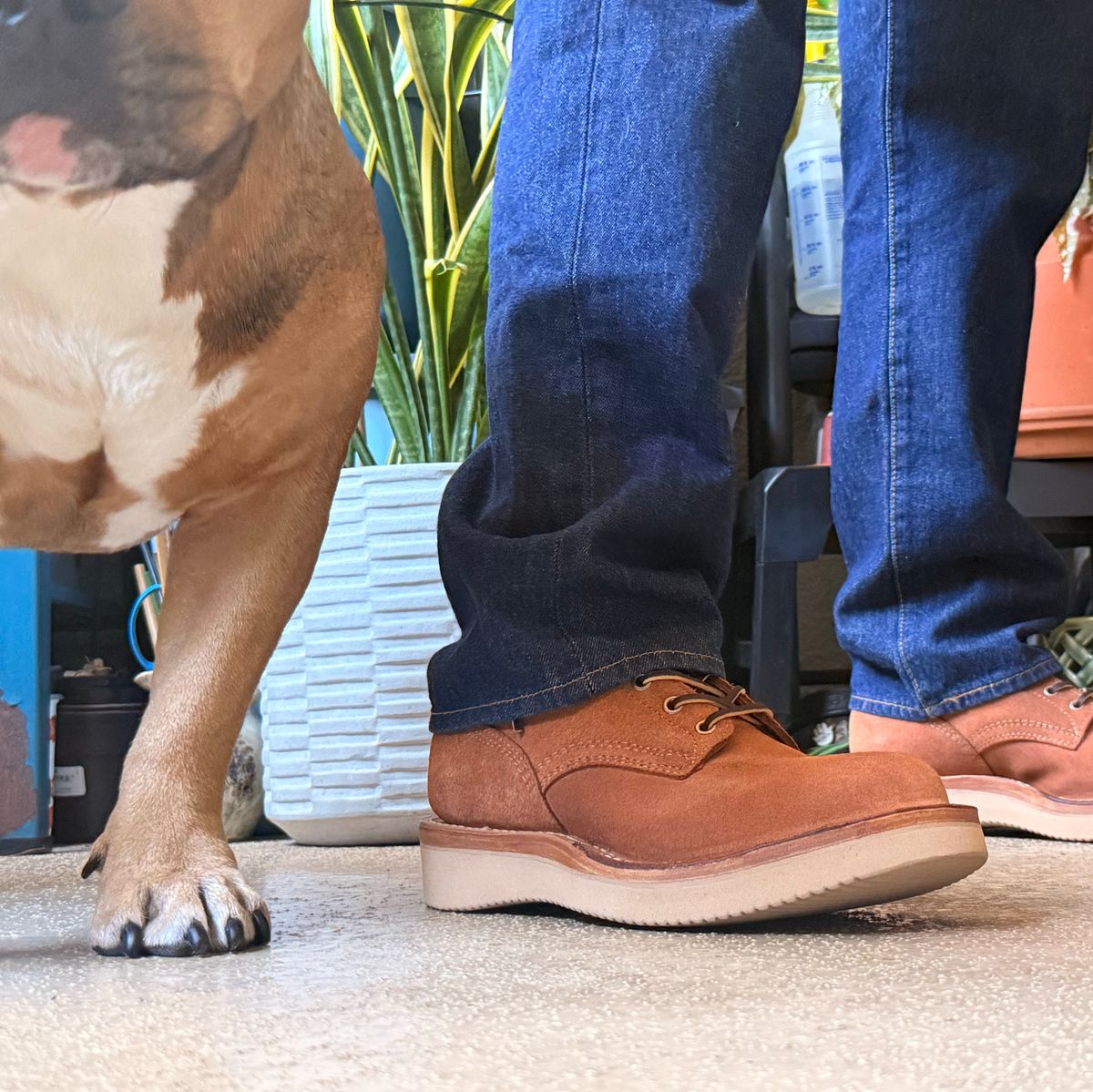 Photo by King_Stoic on January 1, 2026 of the White's C350-CS in Seidel Red Dog Oil Tan Roughout.