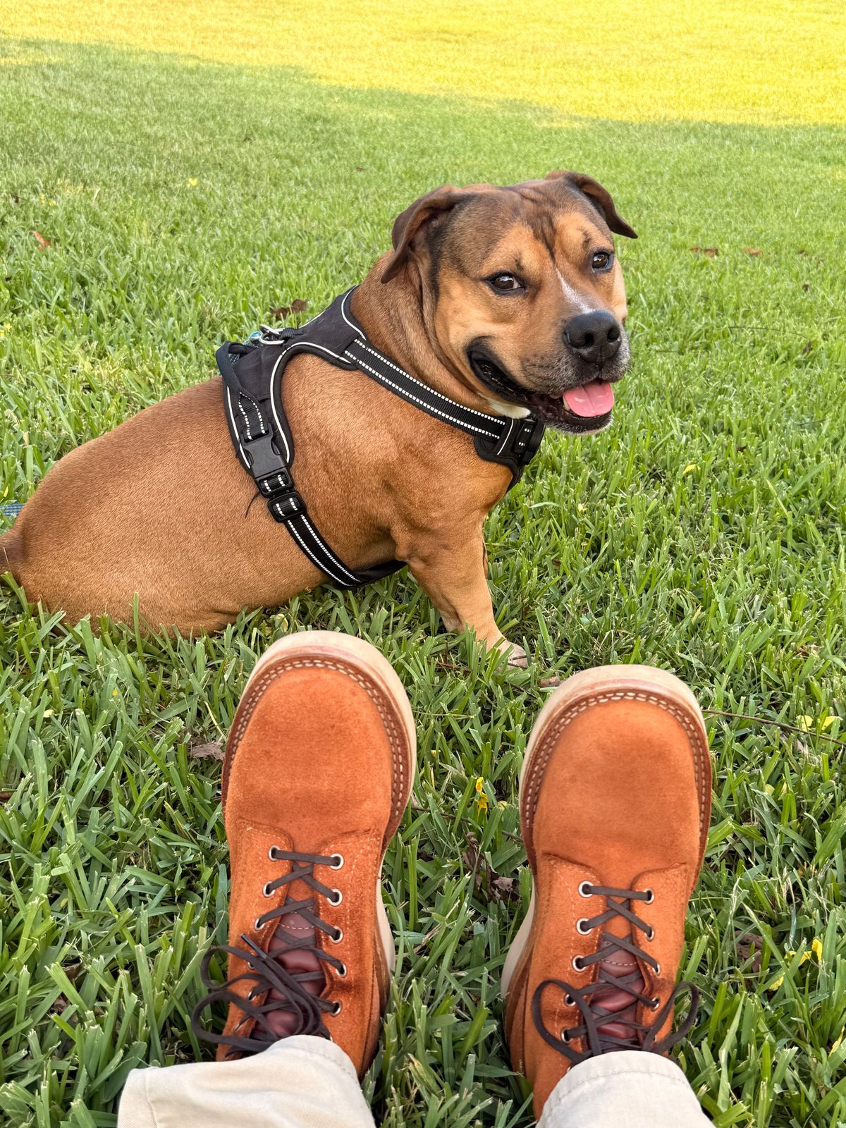 Photo by King_Stoic on June 19, 2026 of the White's C350-CS in Seidel Red Dog Oil Tan Roughout.