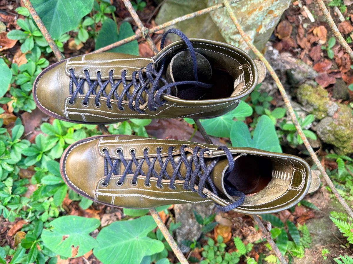 Photo by patinachroniclesDVO on March 6, 2026 of the Willie's Handmade Boots Pioneer Lace To Toe in Badalassi Carlo Oliva Minerva.