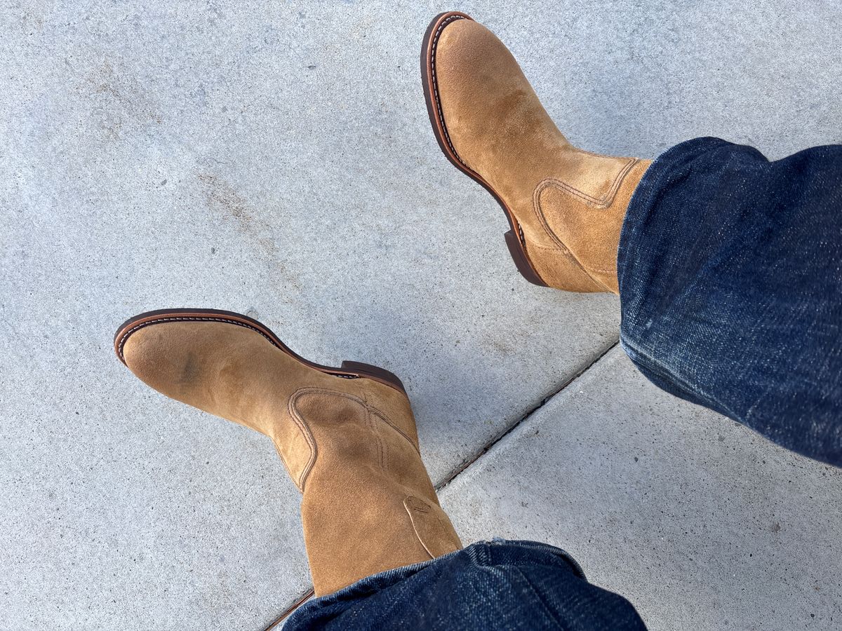 Photo by winters_8 on October 4, 2025 of the Red Wing Pecos in S.B. Foot Hawthorne Muleskinner.