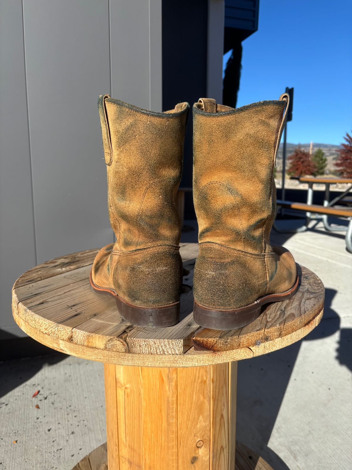 Photo by winters_8 on November 1, 2025 of the Red Wing Pecos in S.B. Foot Hawthorne Muleskinner.