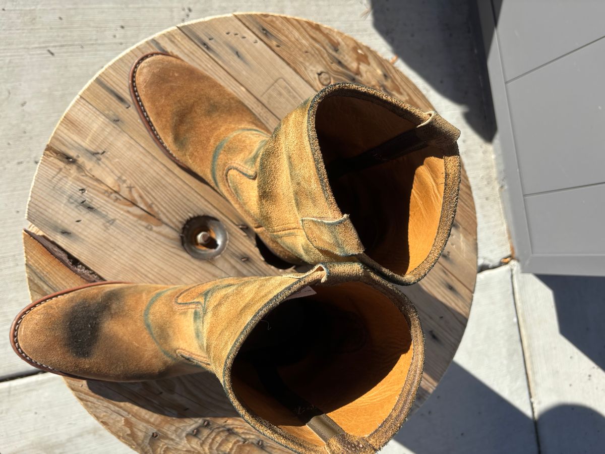 Photo by winters_8 on November 1, 2025 of the Red Wing Pecos in S.B. Foot Hawthorne Muleskinner.