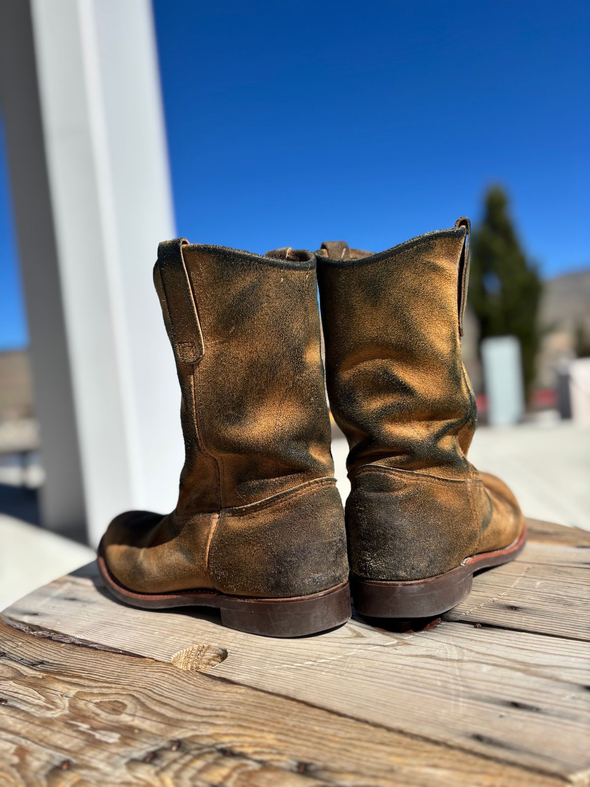 Photo by winters_8 on April 4, 2026 of the Red Wing Pecos in S.B. Foot Hawthorne Muleskinner.