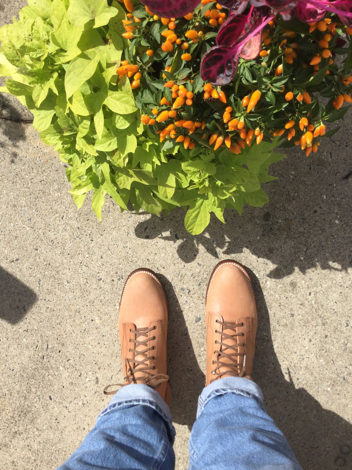 Photo by lastcsm on October 3, 2025 of the Oldspeed Service Boot 6” in Horween Russet Horsehide Strips.
