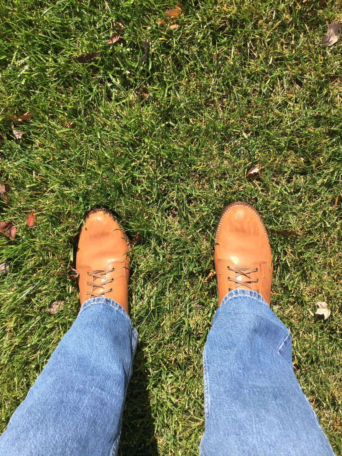 Photo by lastcsm on November 2, 2025 of the Oldspeed Service Boot 6” in Horween Russet Horsehide Strips.