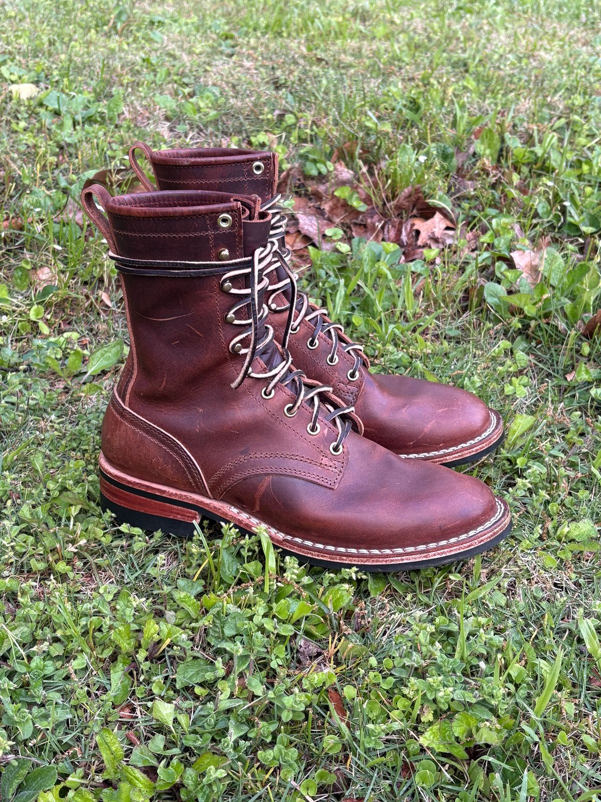 Photo by jimmyshoestrings on April 11, 2025 of the Nicks Falcon in Italian Brown Cypress.