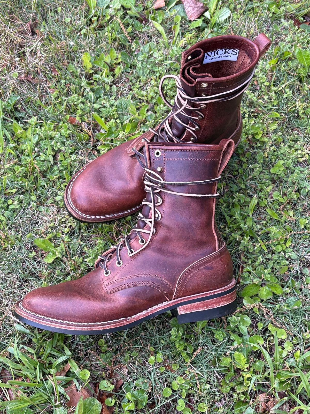 Photo by jimmyshoestrings on April 11, 2025 of the Nicks Falcon in Italian Brown Cypress.