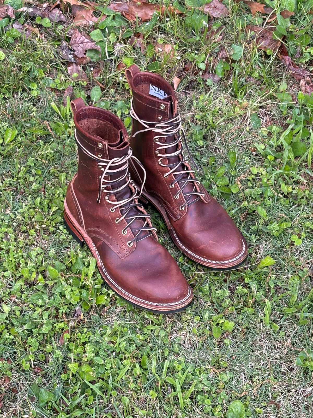 Photo by jimmyshoestrings on April 11, 2025 of the Nicks Falcon in Italian Brown Cypress.