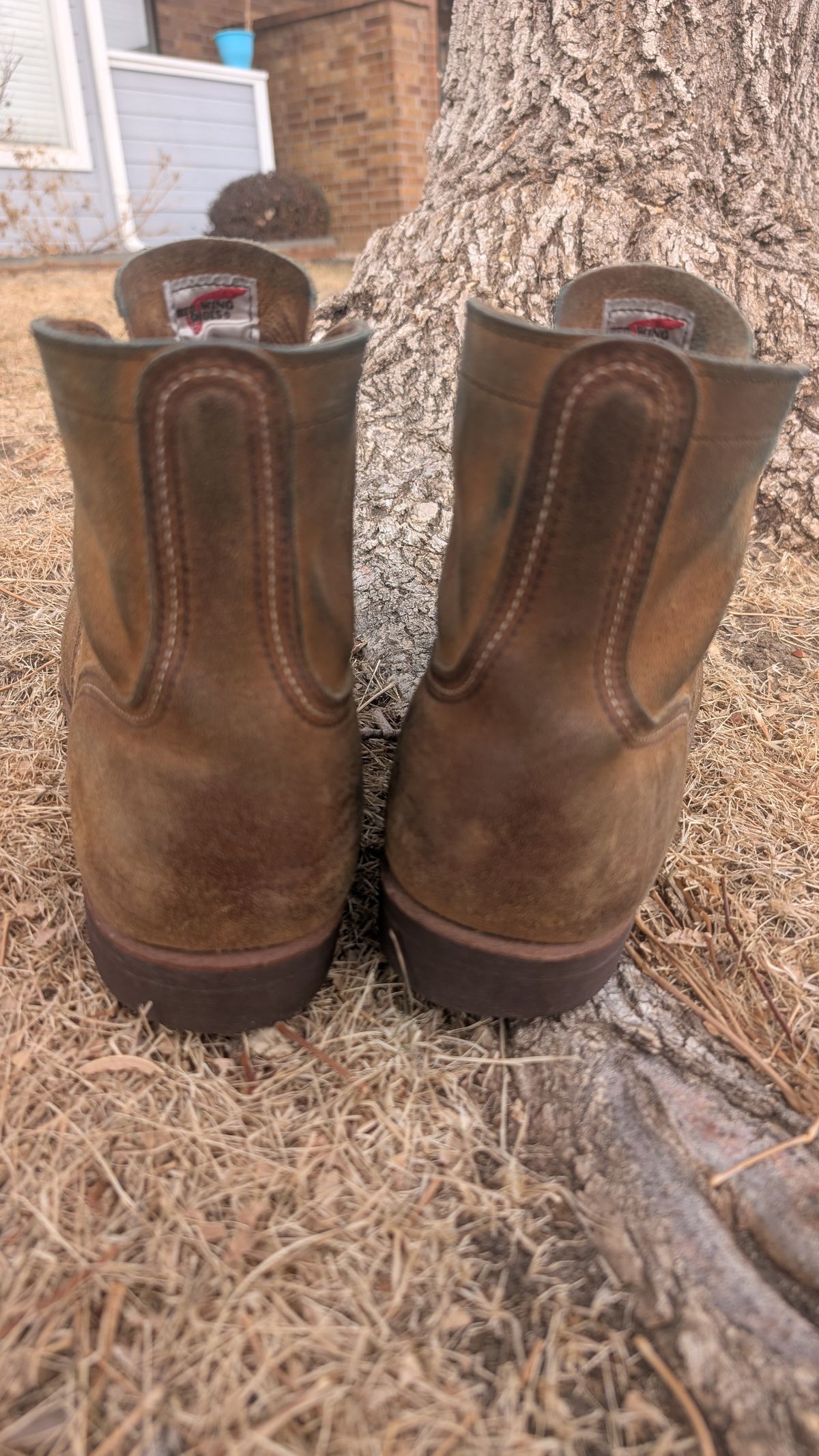 Photo by NoirSclera on February 3, 2026 of the Red Wing Iron Ranger in S.B. Foot Hawthorne Muleskinner.