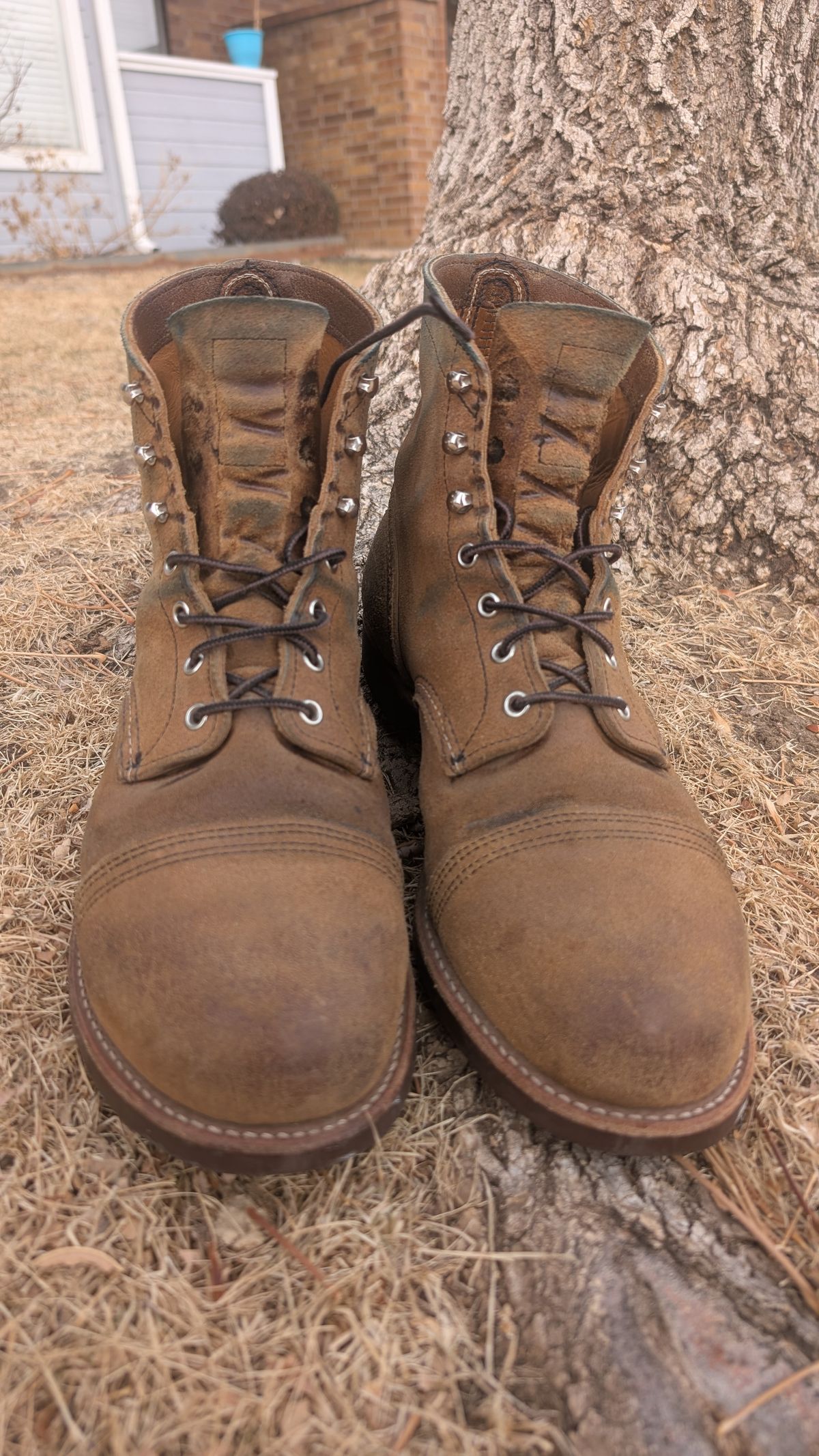 Photo by NoirSclera on February 3, 2026 of the Red Wing Iron Ranger in S.B. Foot Hawthorne Muleskinner.