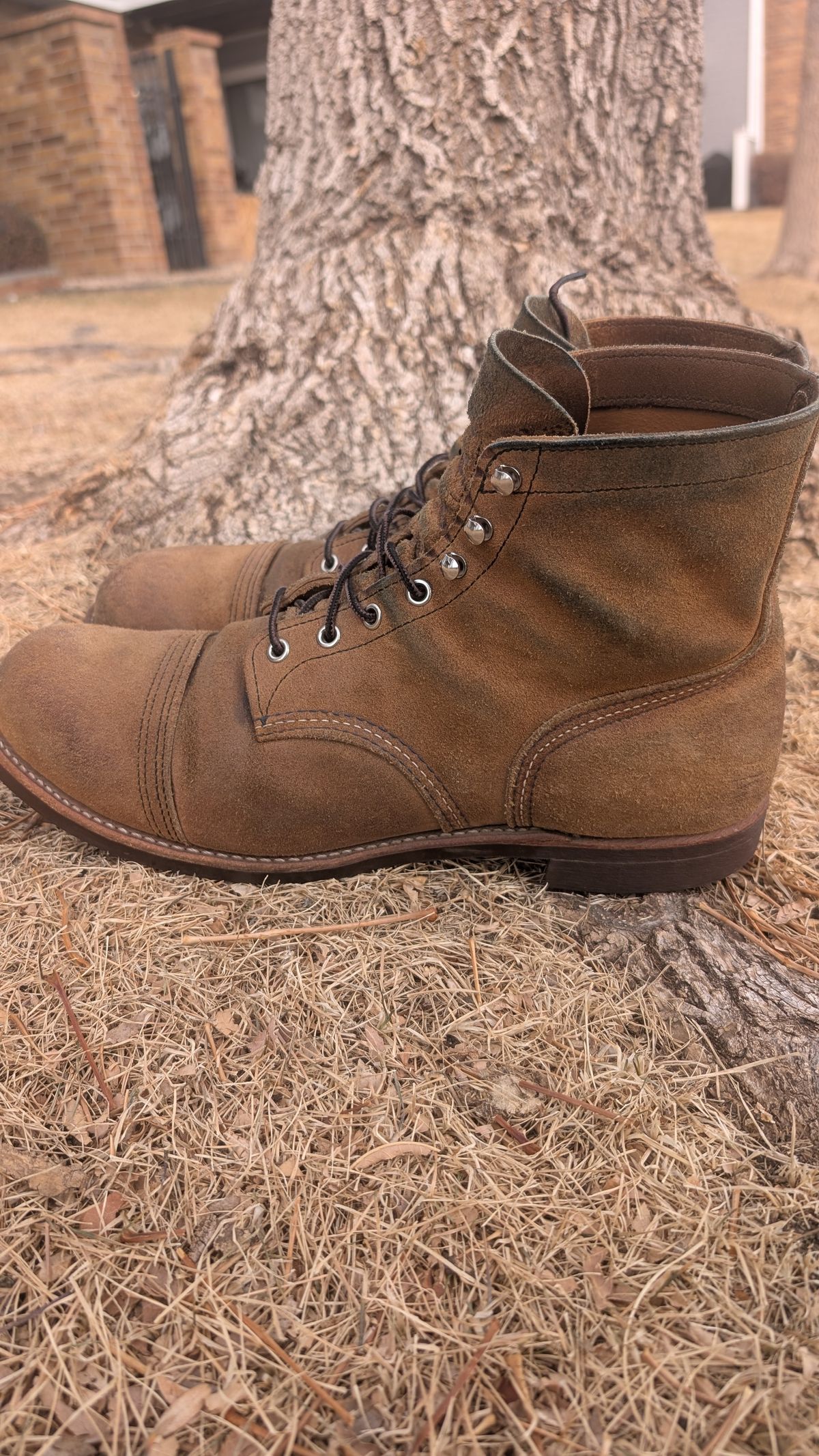 Photo by NoirSclera on February 3, 2026 of the Red Wing Iron Ranger in S.B. Foot Hawthorne Muleskinner.