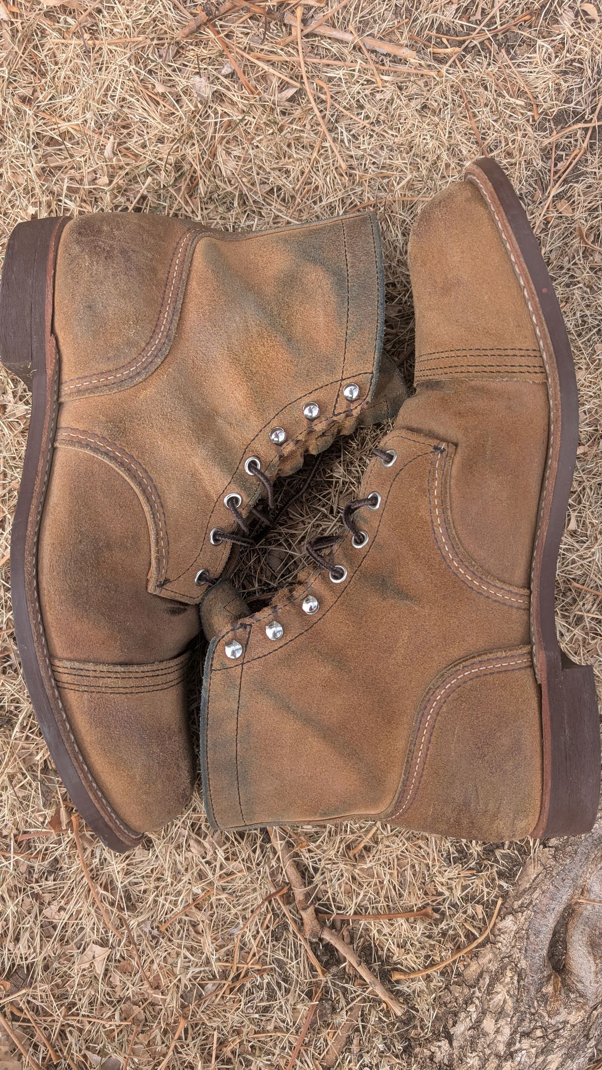 Photo by NoirSclera on February 3, 2026 of the Red Wing Iron Ranger in S.B. Foot Hawthorne Muleskinner.