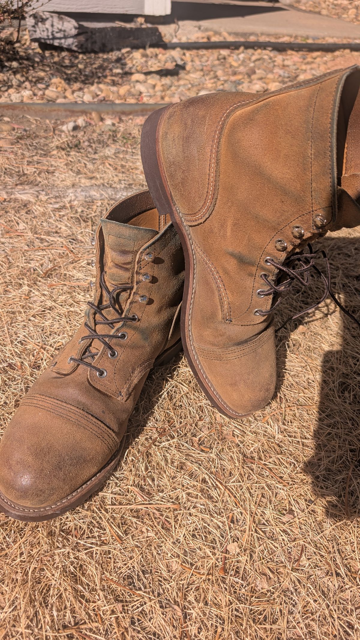 Photo by NoirSclera on March 4, 2026 of the Red Wing Iron Ranger in S.B. Foot Hawthorne Muleskinner.