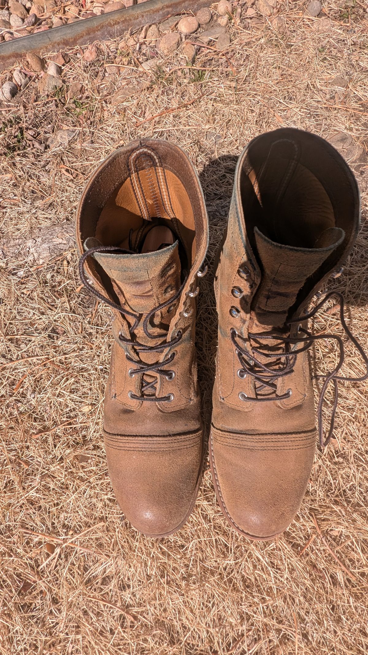 Photo by NoirSclera on March 4, 2026 of the Red Wing Iron Ranger in S.B. Foot Hawthorne Muleskinner.