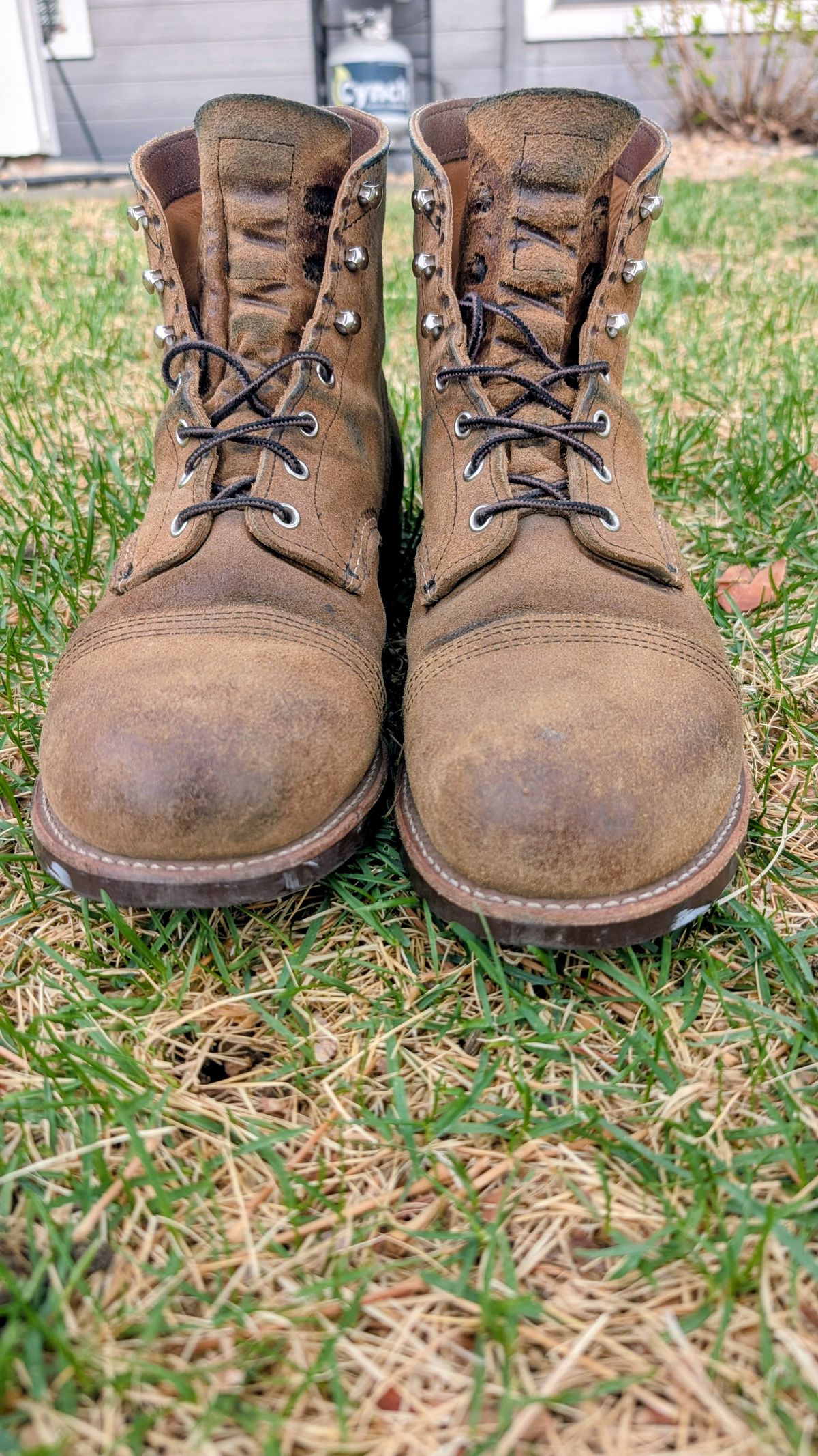 Photo by NoirSclera on April 1, 2026 of the Red Wing Iron Ranger in S.B. Foot Hawthorne Muleskinner.