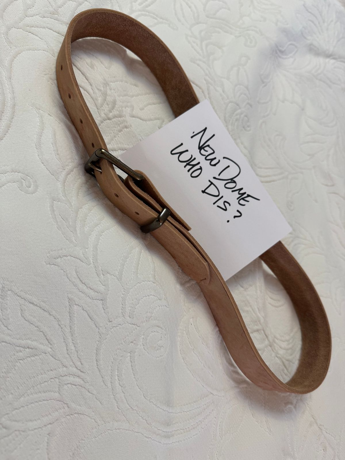 Photo by grantini on October 2, 2025 of the Mister Oldspeed Horsestrip Belt in Horse strip.
