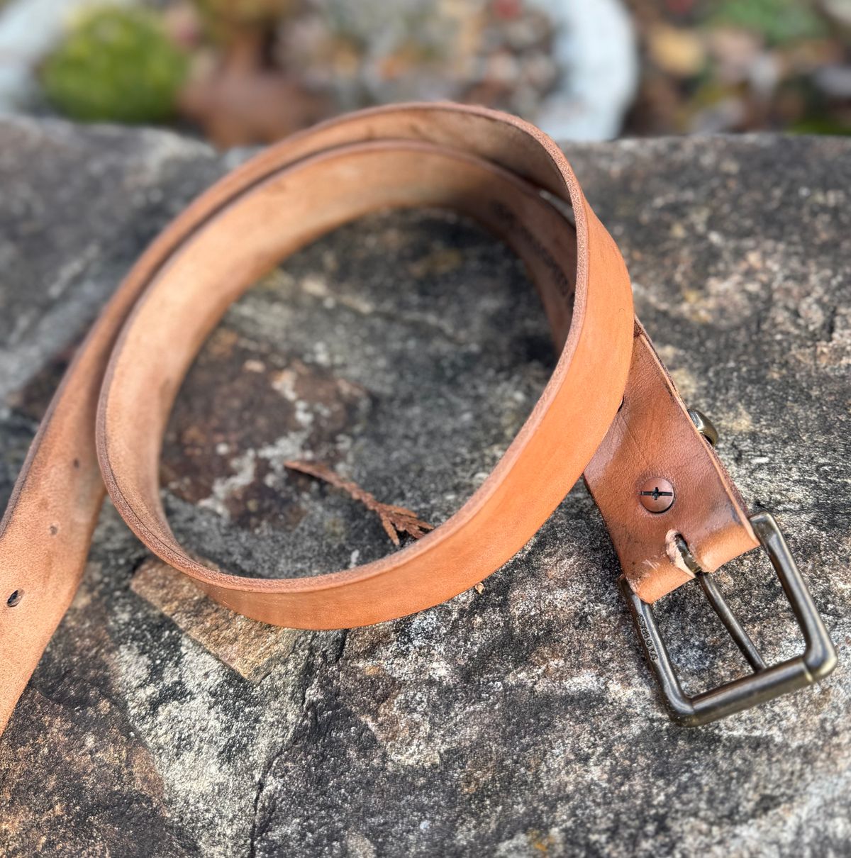 Photo by grantini on December 1, 2025 of the Mister Oldspeed Horsestrip Belt in Horse strip.