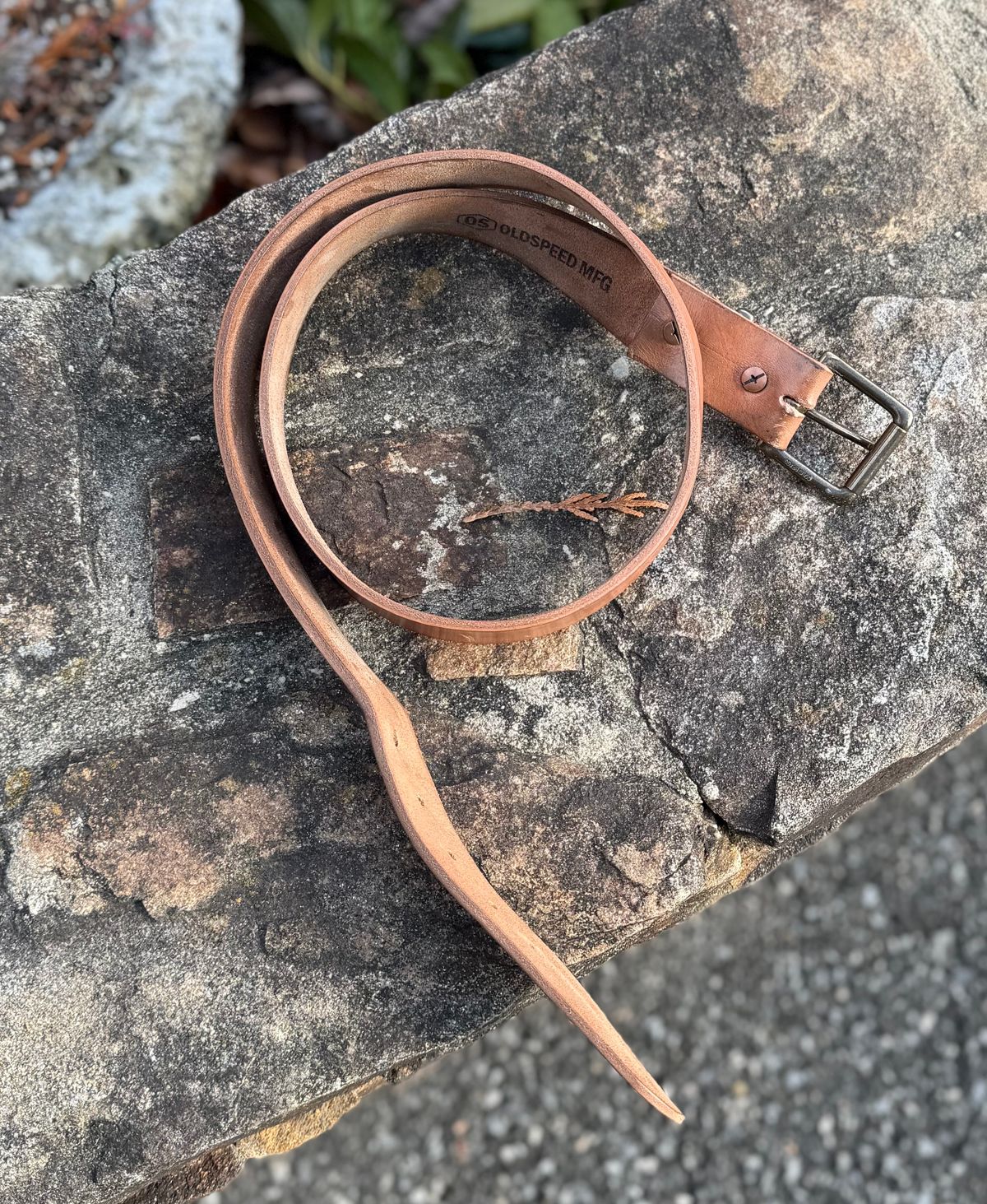 Photo by grantini on December 1, 2025 of the Mister Oldspeed Horsestrip Belt in Horse strip.