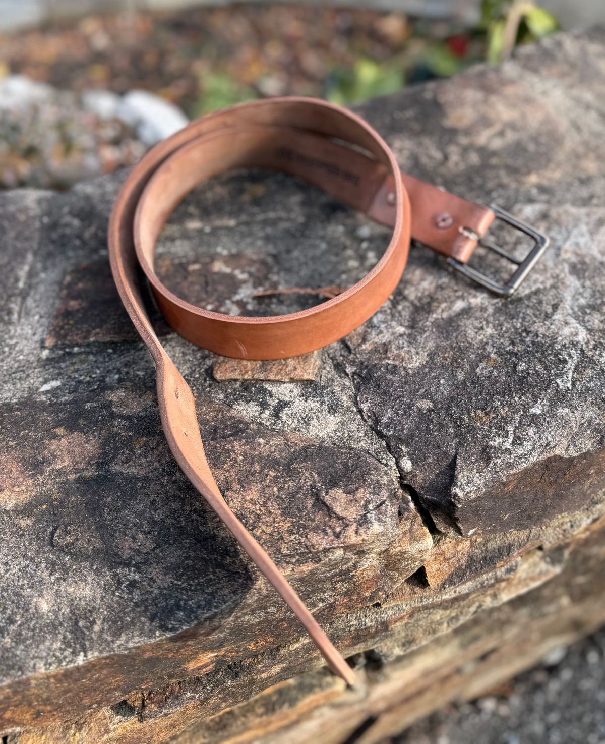 Photo by grantini on December 1, 2025 of the Mister Oldspeed Horsestrip Belt in Horse strip.