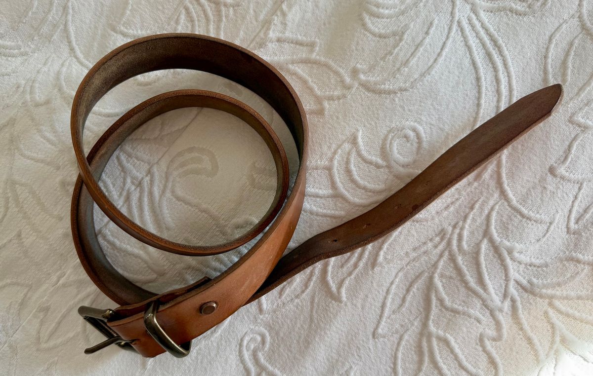 Photo by grantini on January 1, 2026 of the Mister Oldspeed Horsestrip Belt in Horse strip.