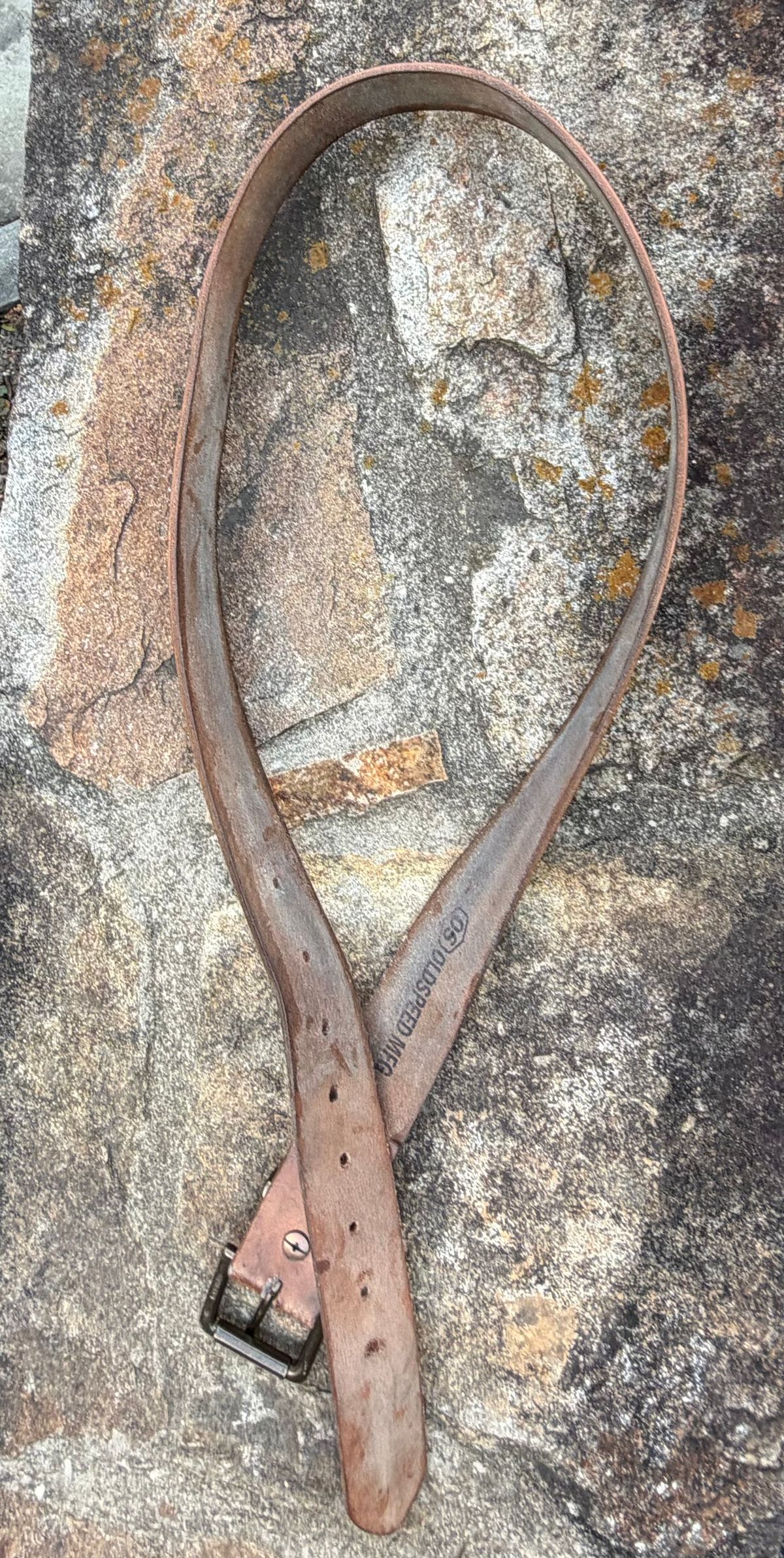 Photo by grantini on April 1, 2026 of the Mister Oldspeed Horsestrip Belt in Horse strip.