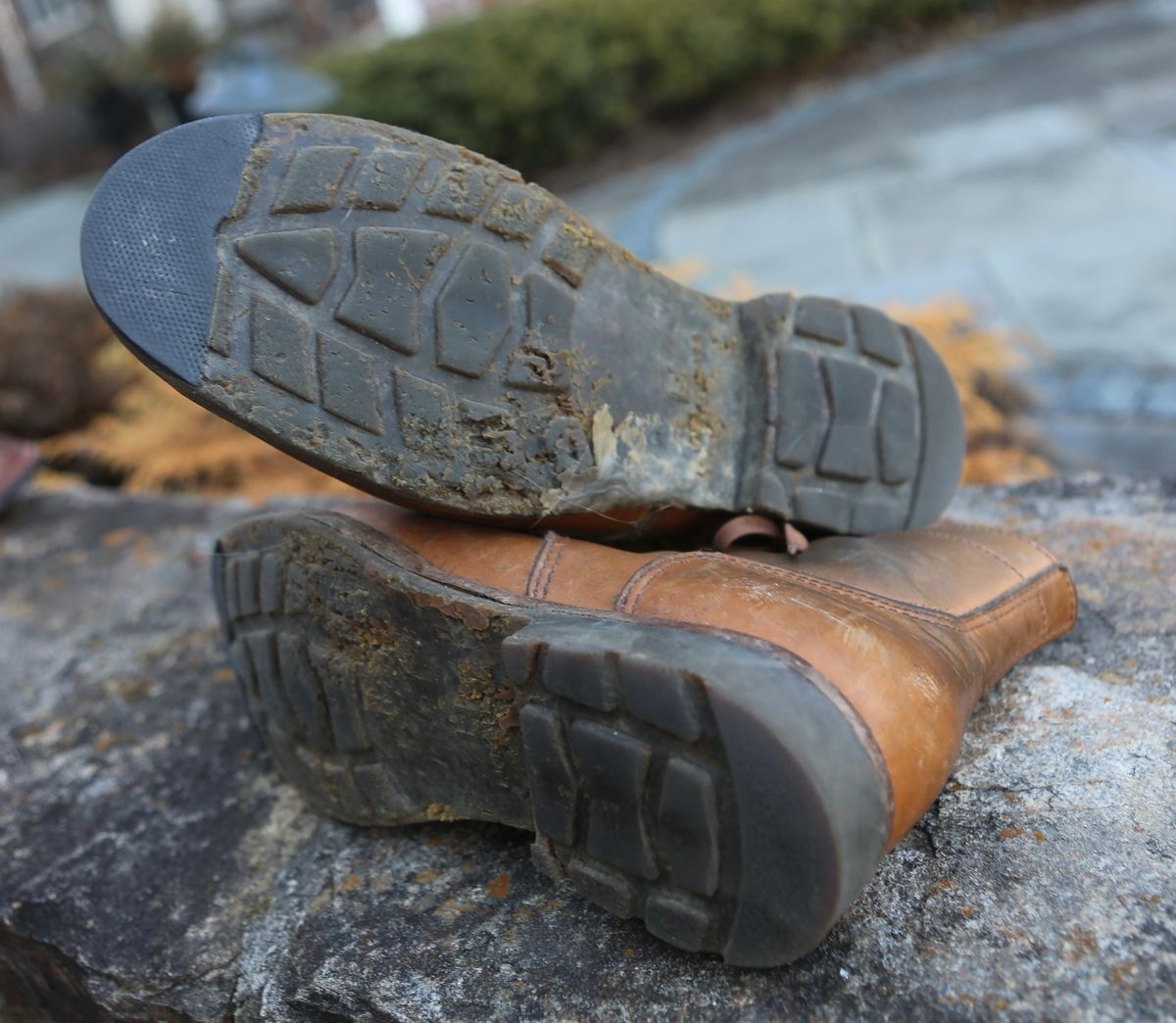Photo by grantini on March 3, 2025 of the Oldspeed Service Boot 6” in Horween Tan Latigo.