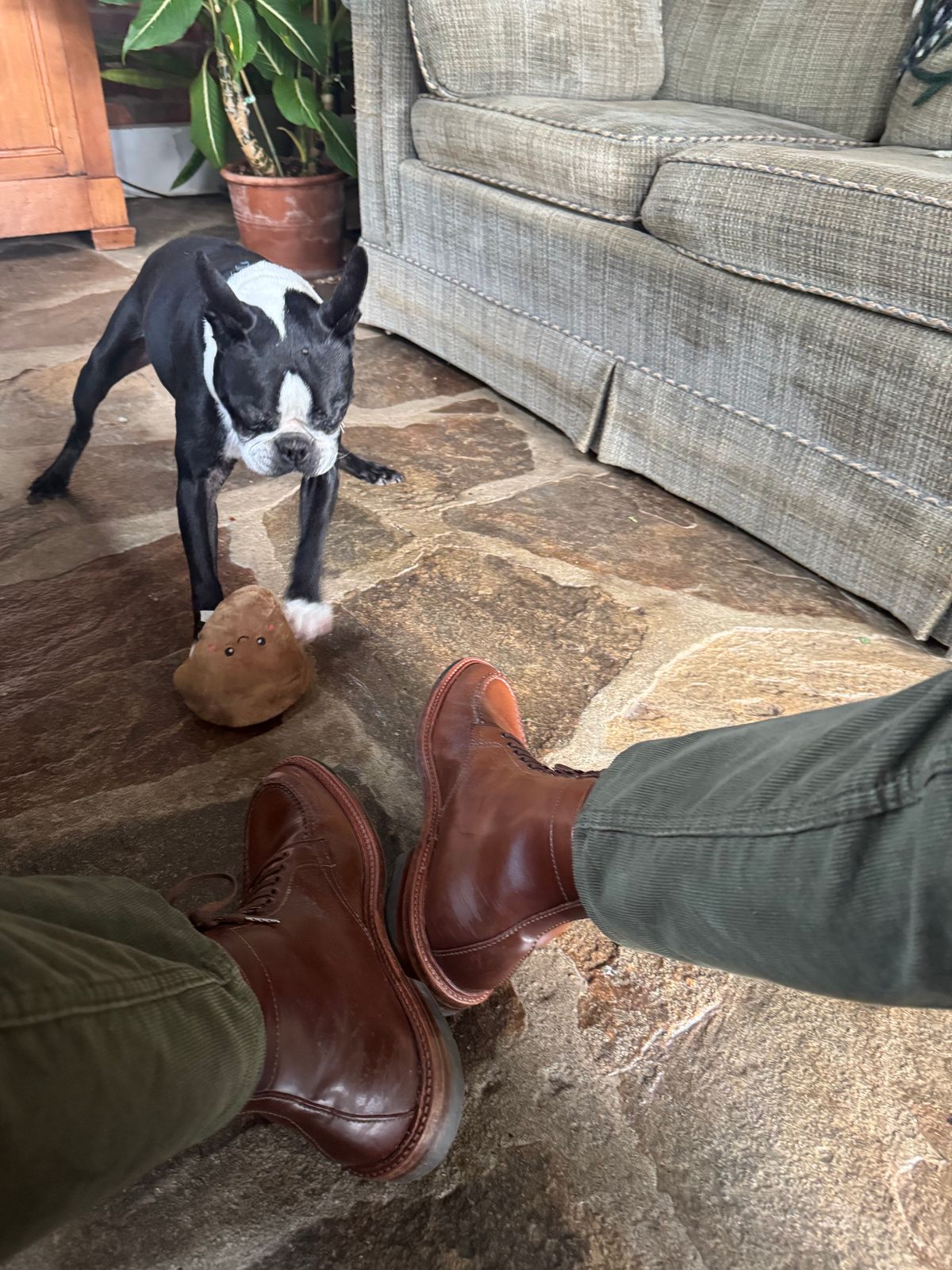 Photo by grantini on January 1, 2025 of the Alden Tanker Boot in Horween Ravello Shell Cordovan.