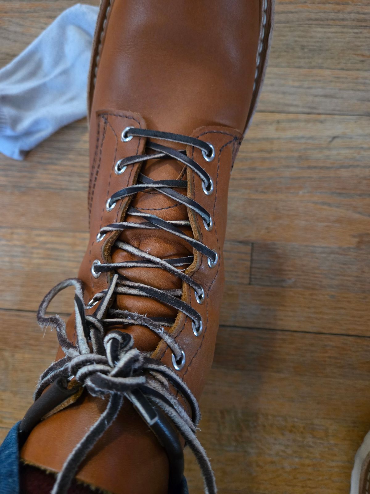 Photo by Prestige on March 9, 2026 of the White's Springdale in Tobacco Stampede.