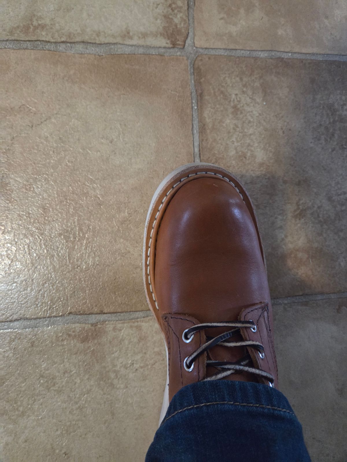 Photo by Prestige on March 9, 2026 of the White's Springdale in Tobacco Stampede.