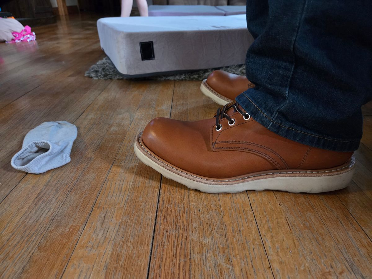 Photo by Prestige on March 9, 2026 of the White's Springdale in Tobacco Stampede.