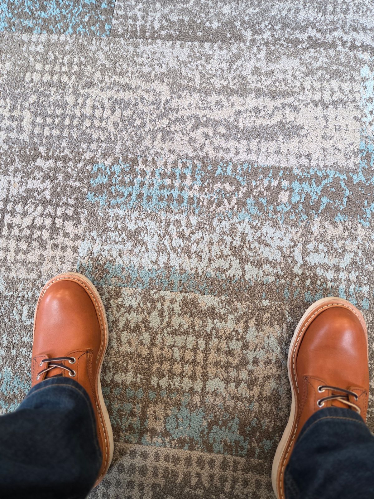 Photo by Prestige on February 17, 2026 of the White's Springdale in Tobacco Stampede.