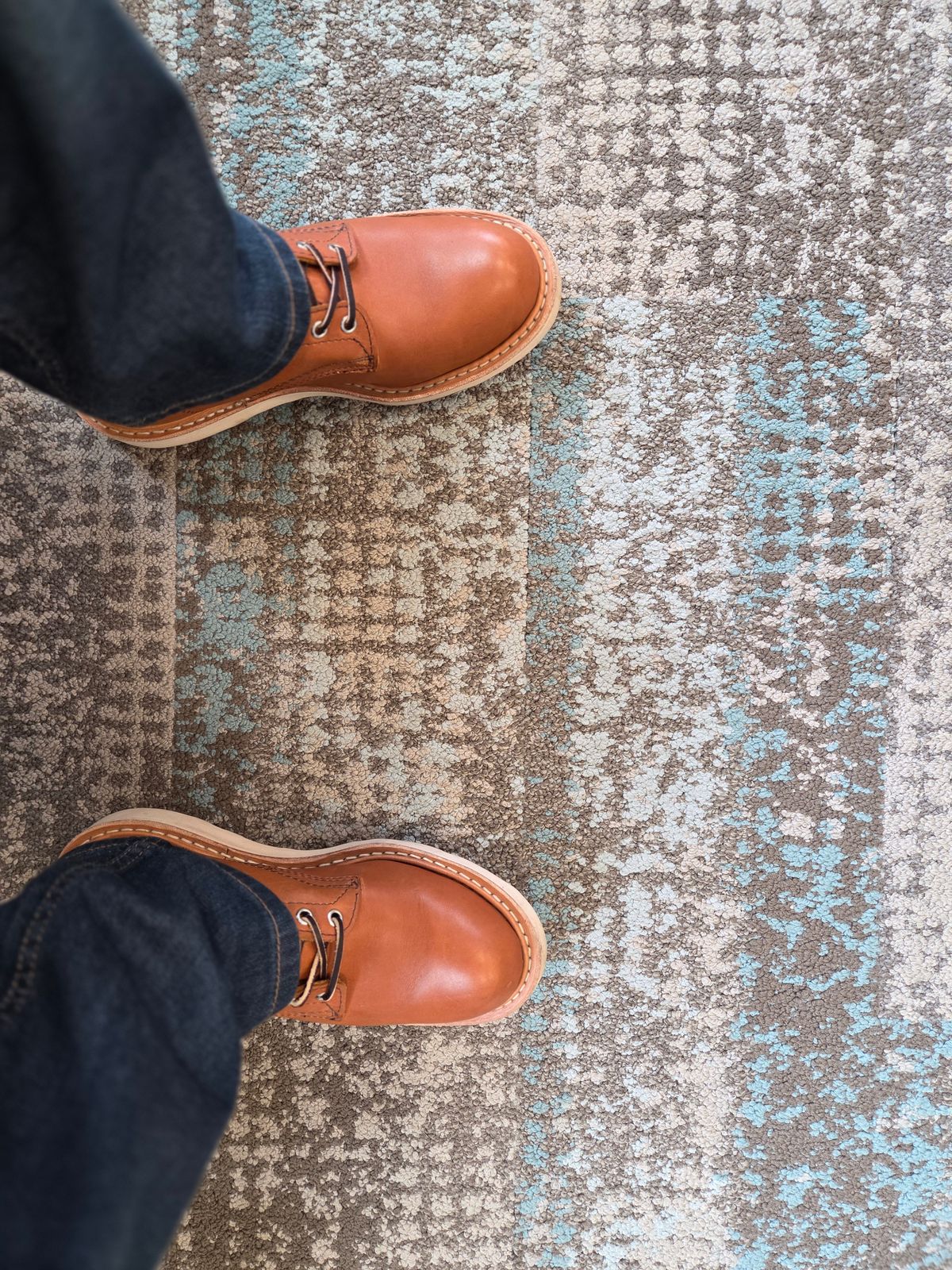 Photo by Prestige on February 17, 2026 of the White's Springdale in Tobacco Stampede.