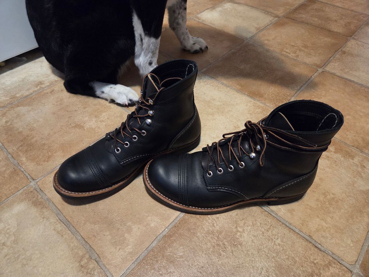 Photo by Prestige on March 5, 2026 of the Red Wing Iron Ranger in S.B. Foot Black Harness.