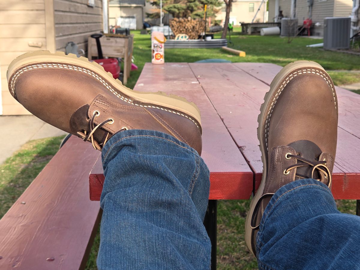 Photo by Prestige on April 20, 2026 of the Nicks Ridgeline Hiking Boot in predator natural.