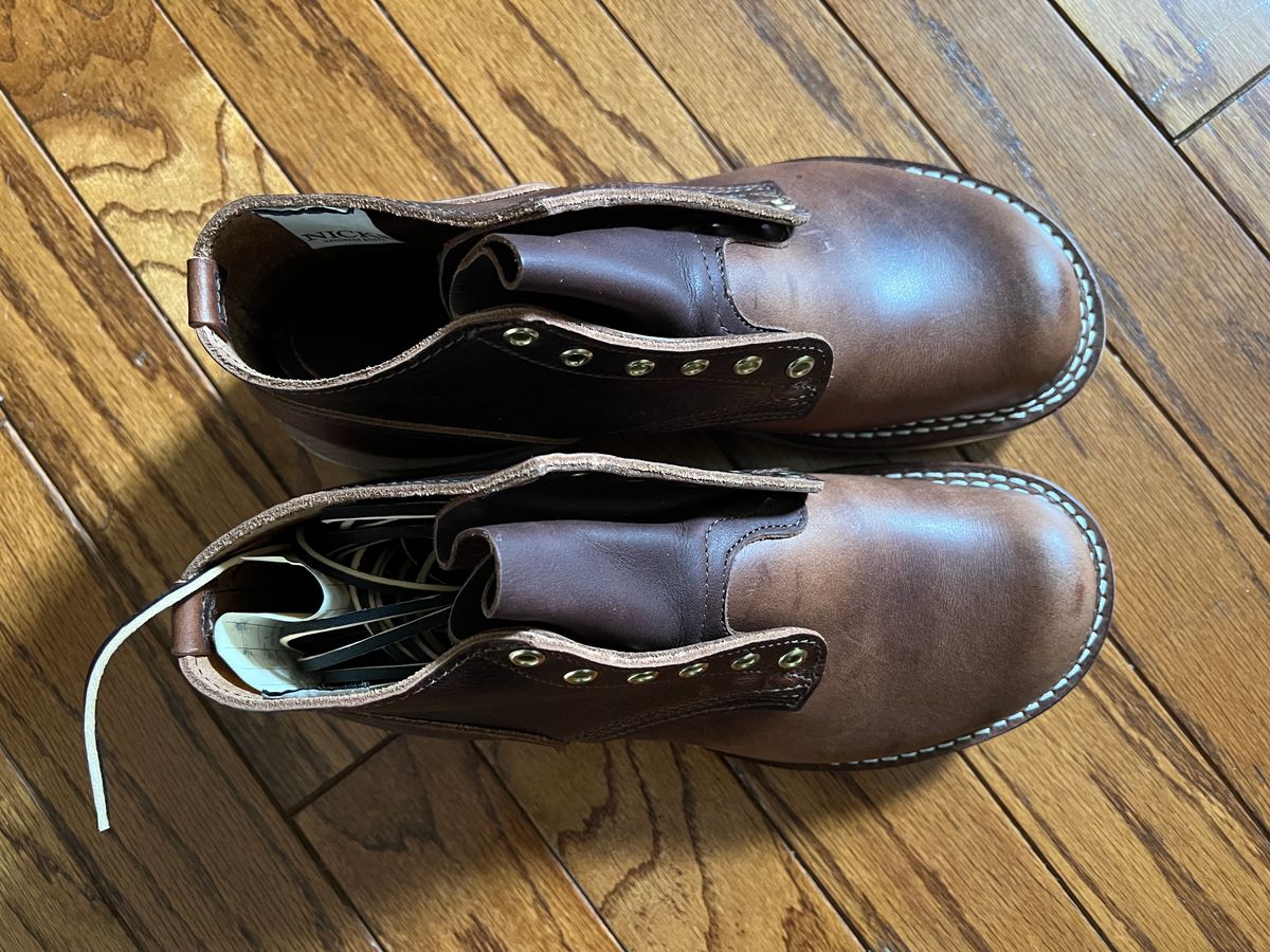 Photo by Tutut on October 3, 2025 of the Nicks MTO in Italian Brown Cypress.