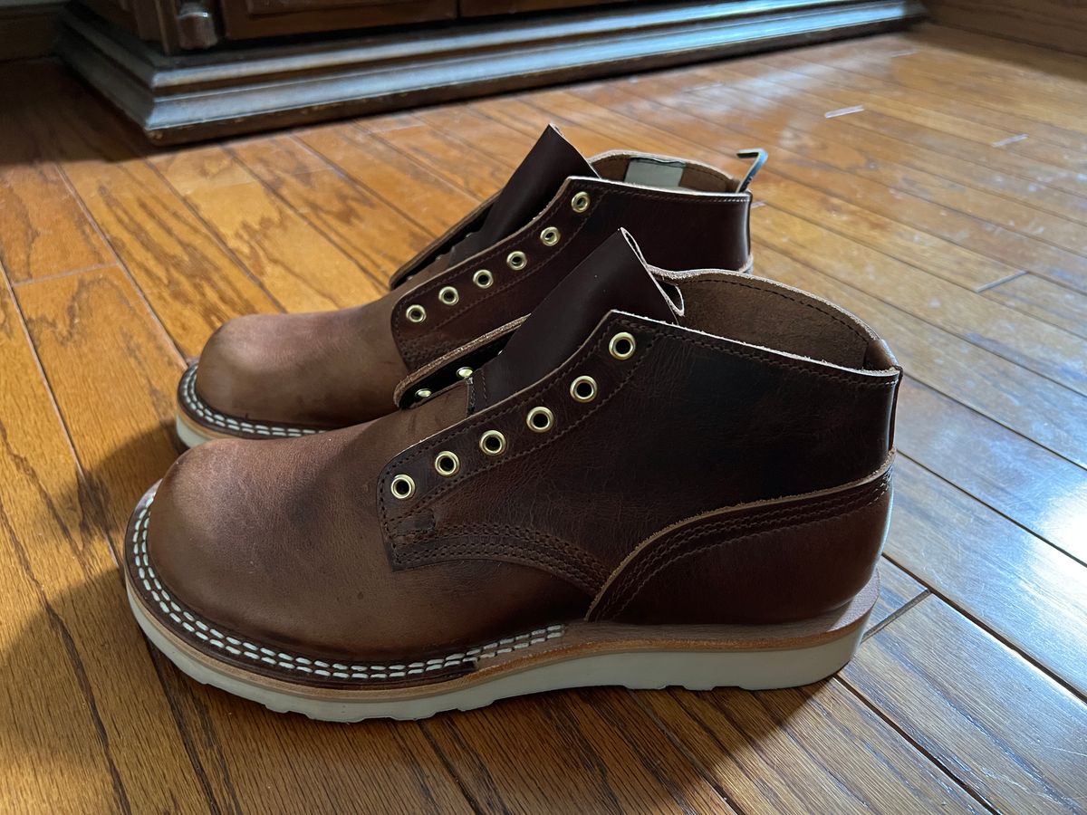 Photo by Tutut on October 3, 2025 of the Nicks MTO in Italian Brown Cypress.