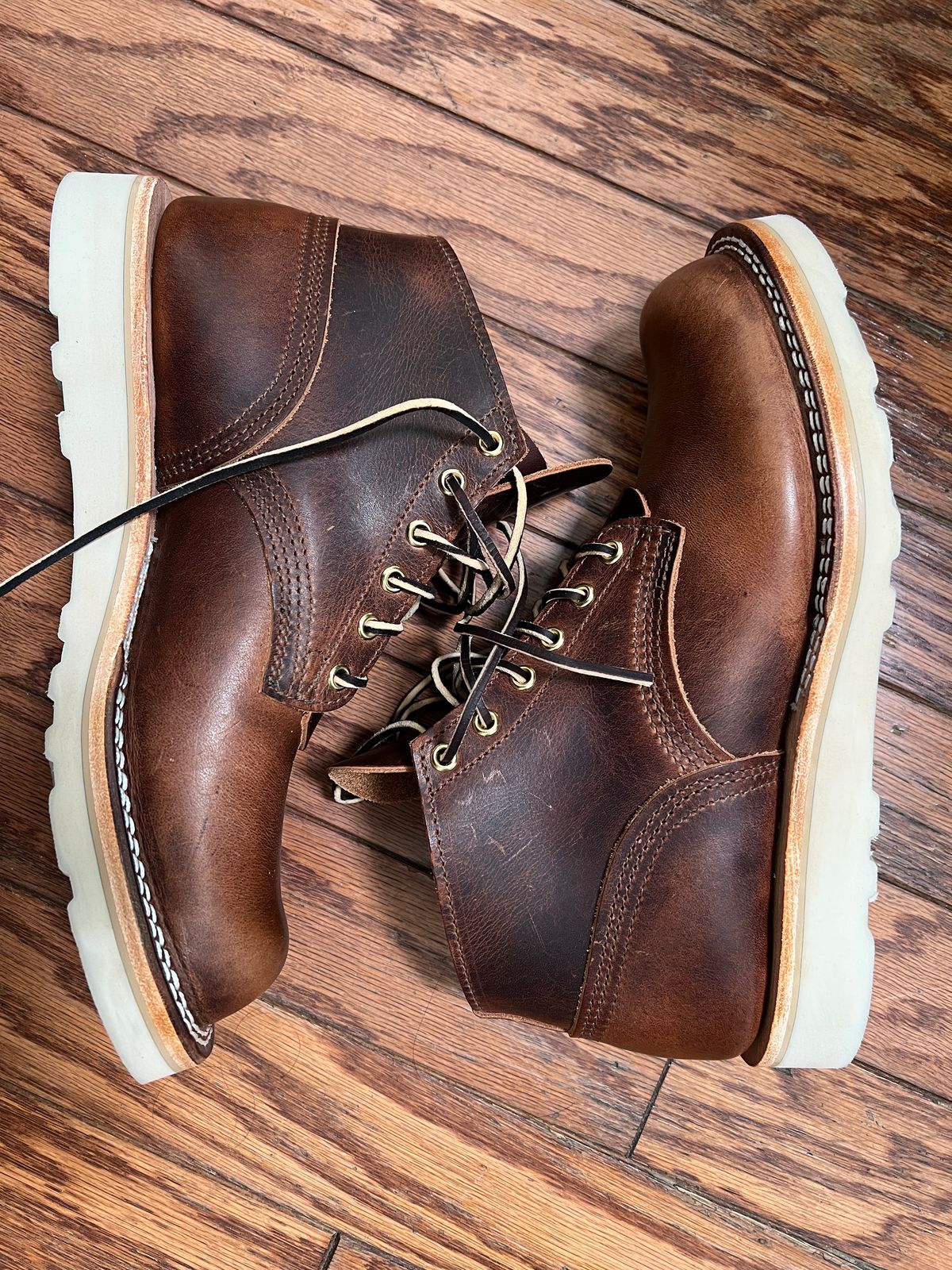 Photo by Tutut on October 4, 2025 of the Nicks MTO in Italian Brown Cypress.