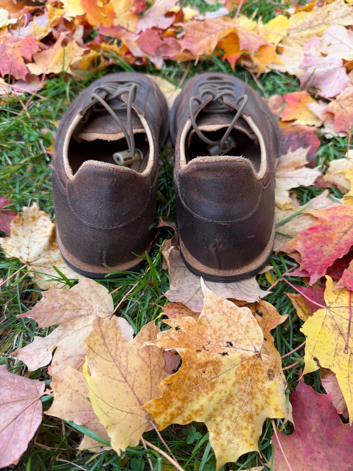 Photo by Forgedleather on November 1, 2025 of the Turriff Functional Footwear C-01 in C.f. Stead Prairie Waxy Commander Suede.