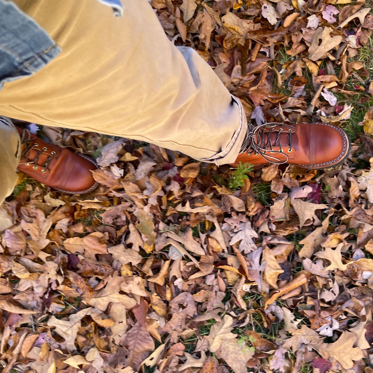 Photo by billpetriejr2 on November 4, 2025 of the Nicks DomePro in Nicks/ Wickett & Craig Double Stuff Natural.