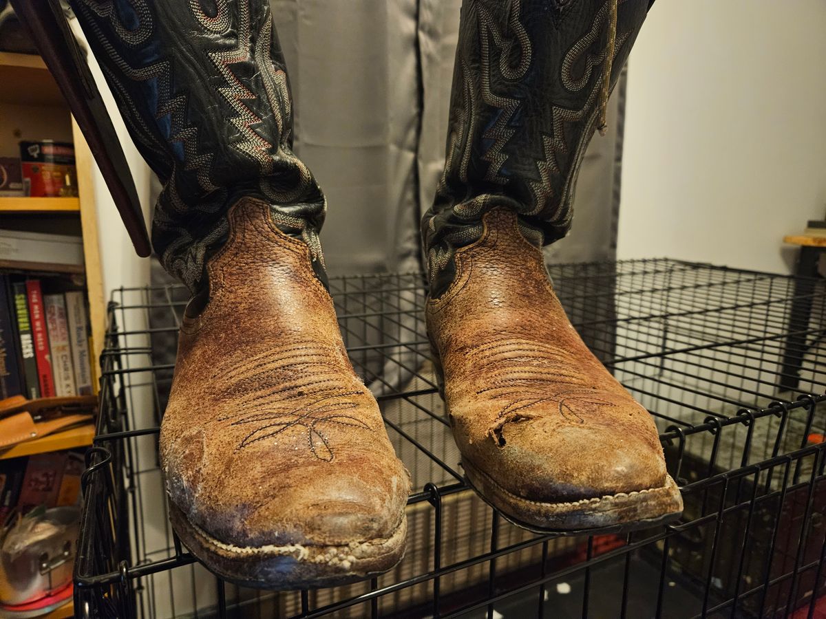 Photo by Jakesleather1505 on November 14, 2024 of the Justin Boots 1505 in Dark Cherry Bullhide.