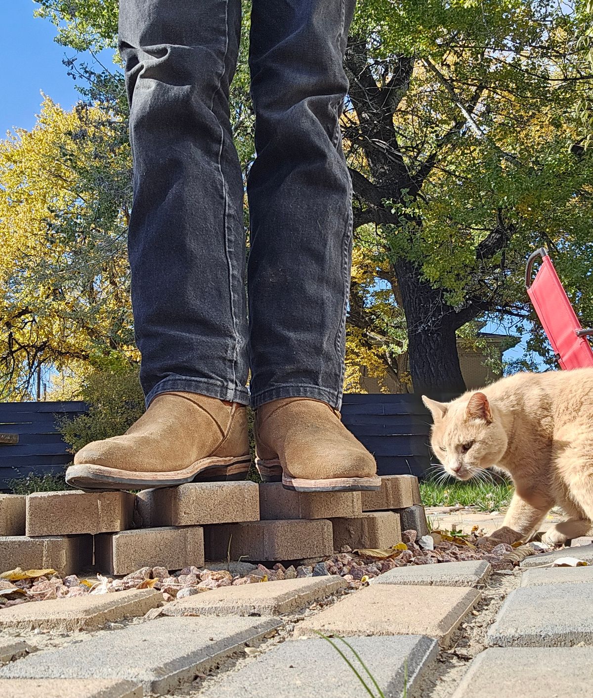 Photo by Jakesleather1505 on October 31, 2025 of the Self Made Cowboy Tanker in 6oz Russet Cowhide.
