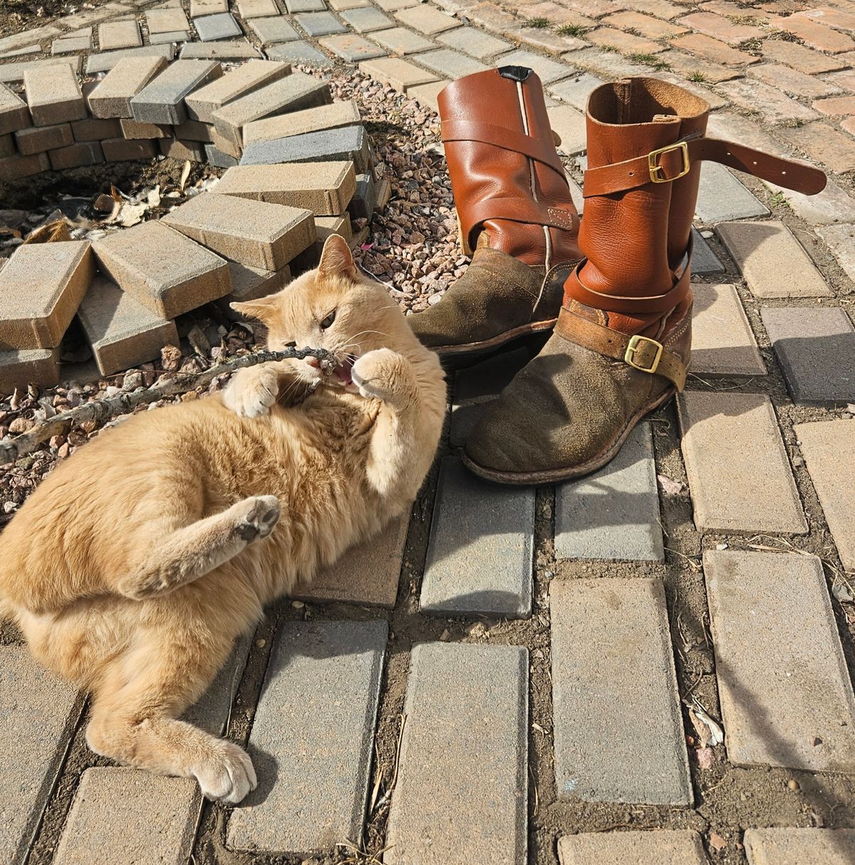 Photo by Jakesleather1505 on March 3, 2026 of the Self Made Cowboy Tanker in 6oz Russet Cowhide.
