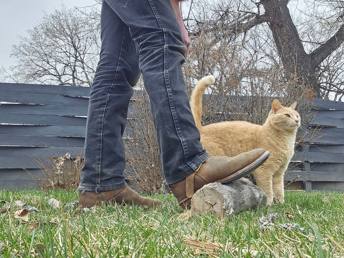 Photo by Jakesleather1505 on April 2, 2026 of the Self Made Cowboy Tanker in 6oz Russet Cowhide.
